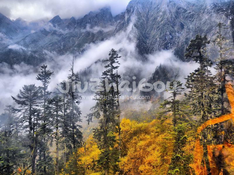 Hailuogou National Glacier Forest Park