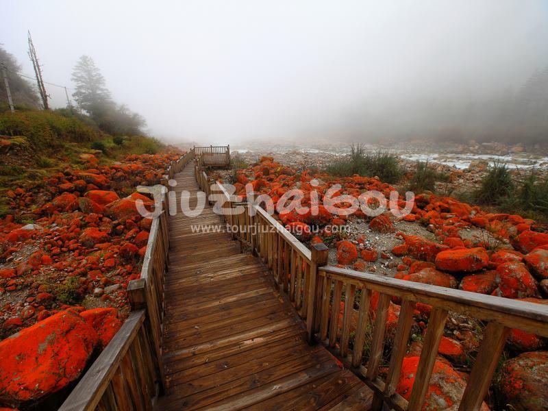 Hailuogou Sichuan