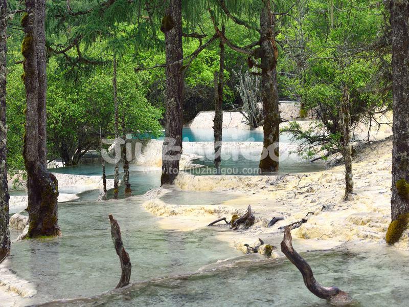 Huanglong Scenic and Historic Interest Area