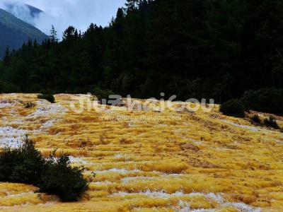 Huanglong Scenic and Historic Interest Area