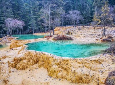Guest-greeting Pools - Huanglong Valley