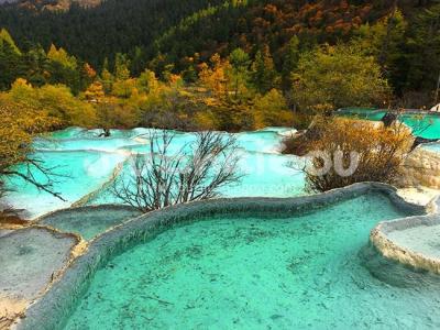 the Azalea Reflection Pools in Yellow Dragon Valley