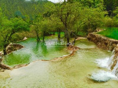the Azalea Reflection Pools - Huanglong Valley, Sichuan