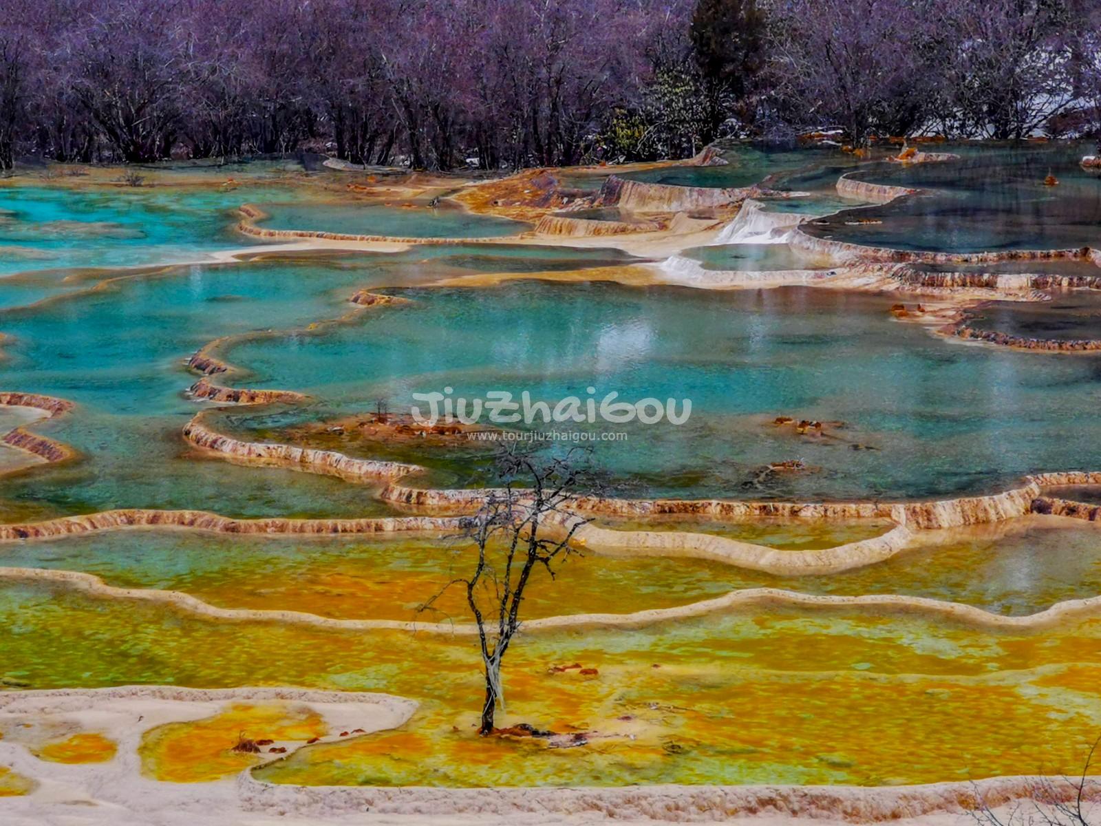 the Multi-colored Pools in Huanglong Valley, China