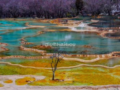 the Multi-colored Pools in Huanglong Valley, China