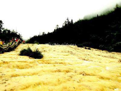 The Golden Sand Pavement in Huanglong Valley