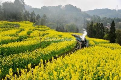 Jiayang Mini Steam Train