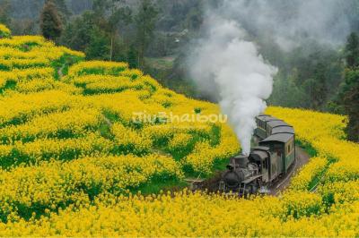 Jiayang Mini Steam Train