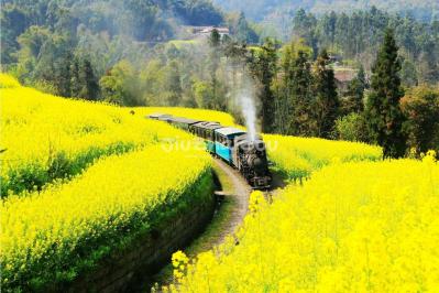 Jiayang Mini Steam Train