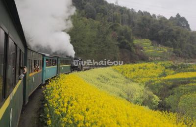Jiayang's Train