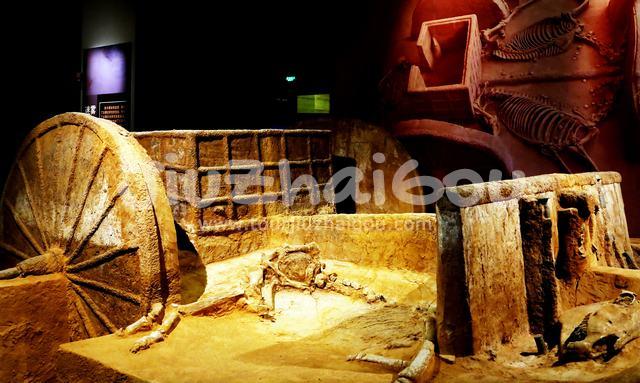 Fossil in Chengdu Jinsha Site Museum