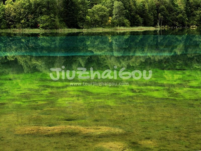 Jiuzhaigou in August 