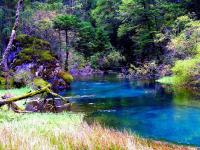 Jiuzhaigou in August 