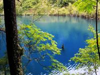 Jiuzhaigou in August 