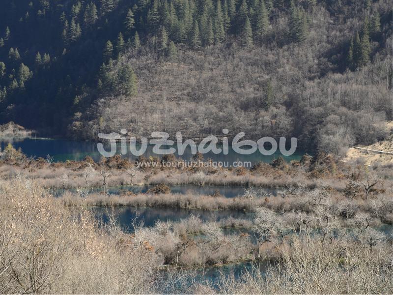January Jiuzhaigou 