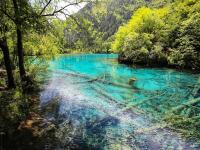 Go to Jiuzhaigou in May 