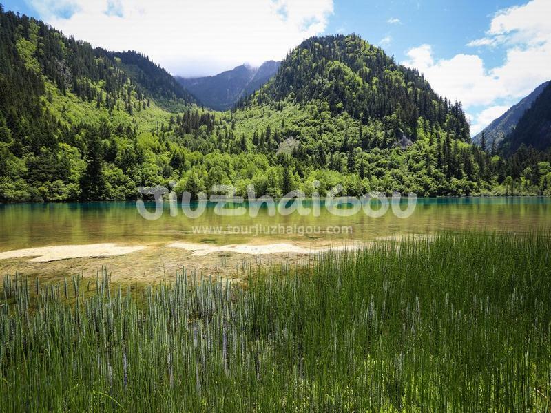 Jiuzhaigou May Tour