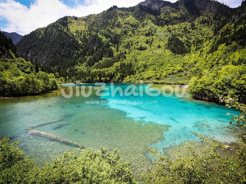 Jiuzhaigou May 