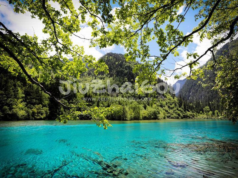May in Jiuzhaigou