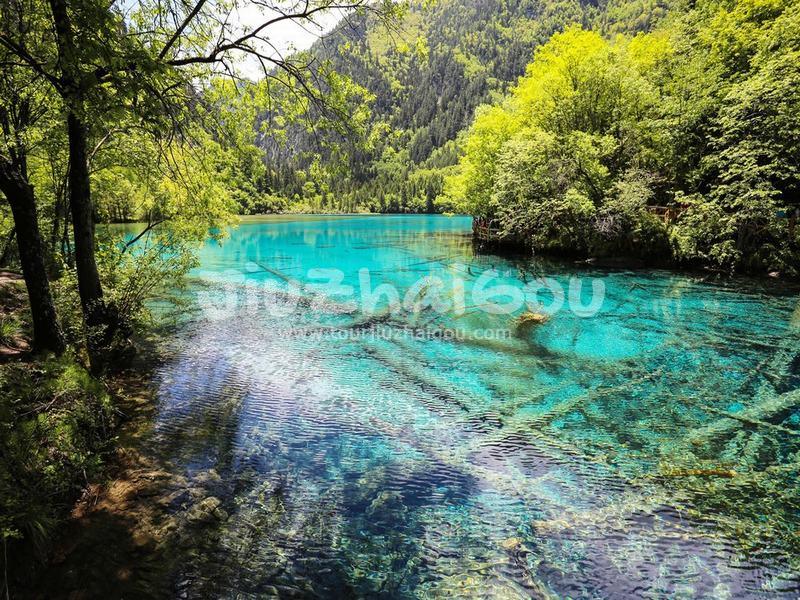 May in Jiuzhaigou