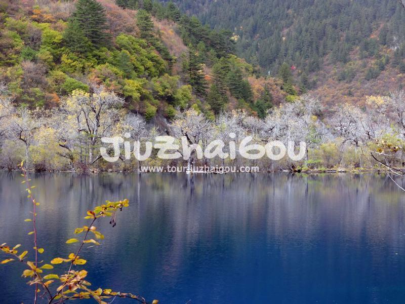 Jiuzhaigou in November