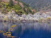 Jiuzhaigou in November