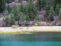 Jiuzhaigou in November