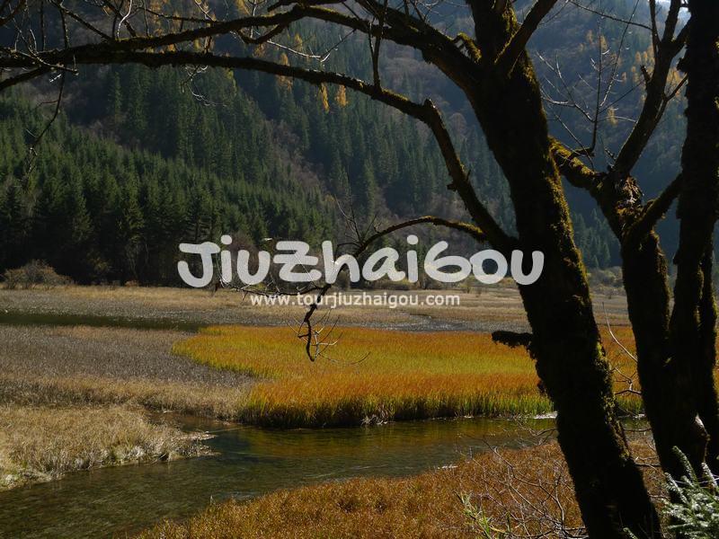 Jiuzhaigou in November