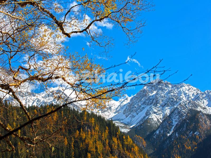 Go to Jiuzhaigou in October