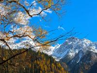 Go to Jiuzhaigou in October