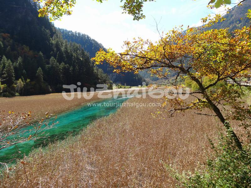 Jiuzhaigou October