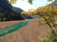 Jiuzhaigou October