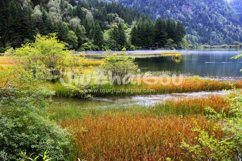 Jiuzhaigou September