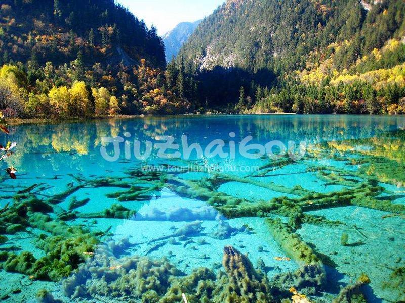 Water of Jiuzhaigou National Park