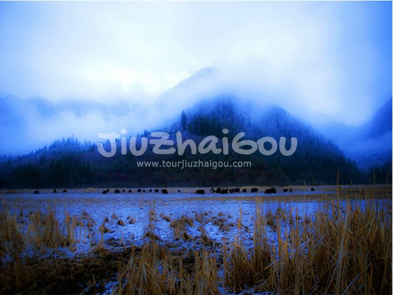 Jiuzhaigou Snowscape