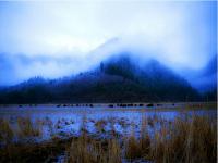 Jiuzhaigou Snowscape