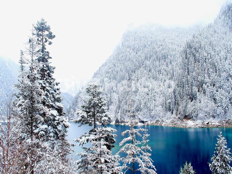 Snowy Jiuzhaigou 