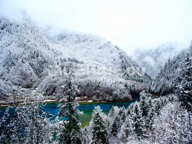 Jiuzhaigou Snowscape