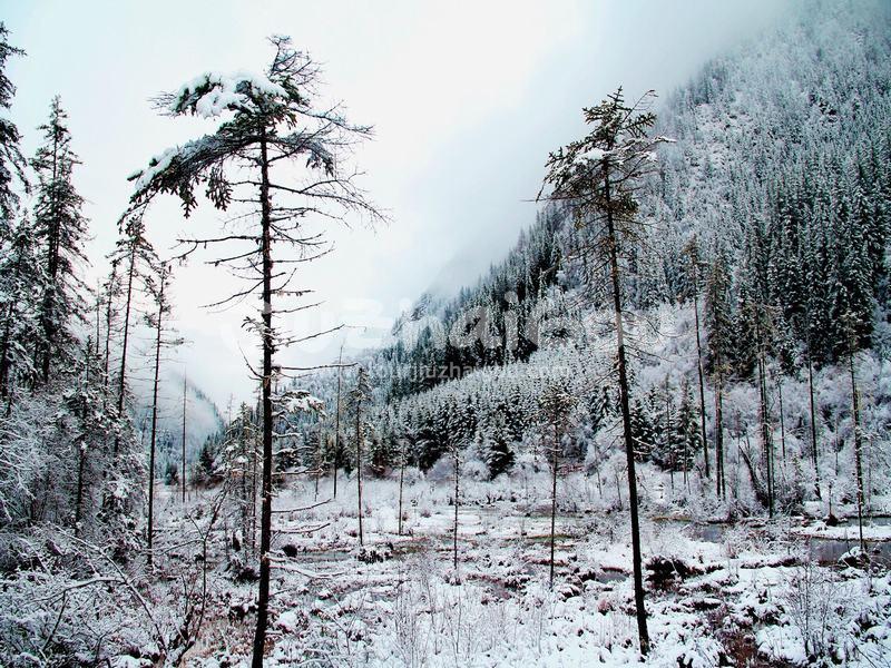 Jiuzhaigou Amist Snow