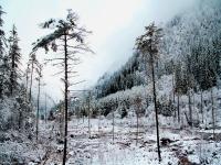 Jiuzhaigou Amist Snow