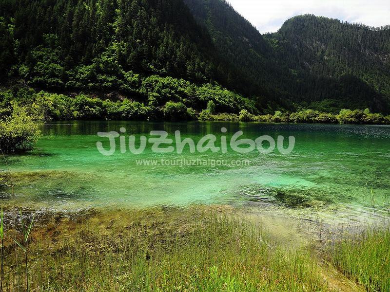Jiuzhaigou Water