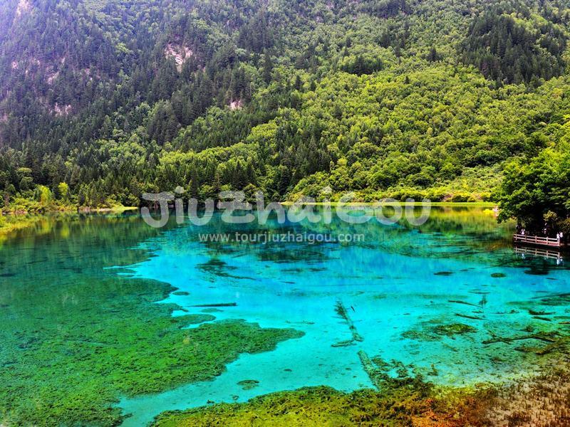 Jiuzhaigou Water