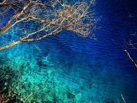 Jiuzhaigou Water