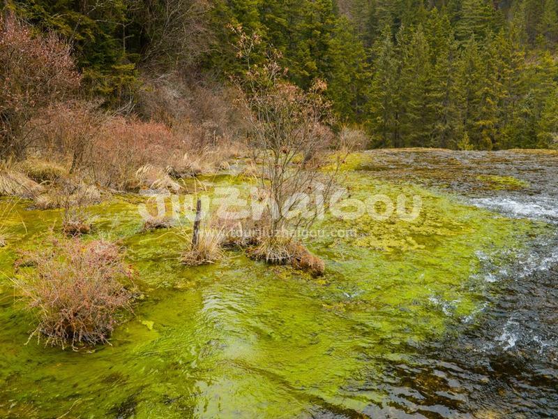 Jiuzhaigou Water