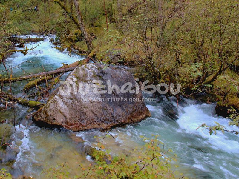 Jiuzhaigou Water