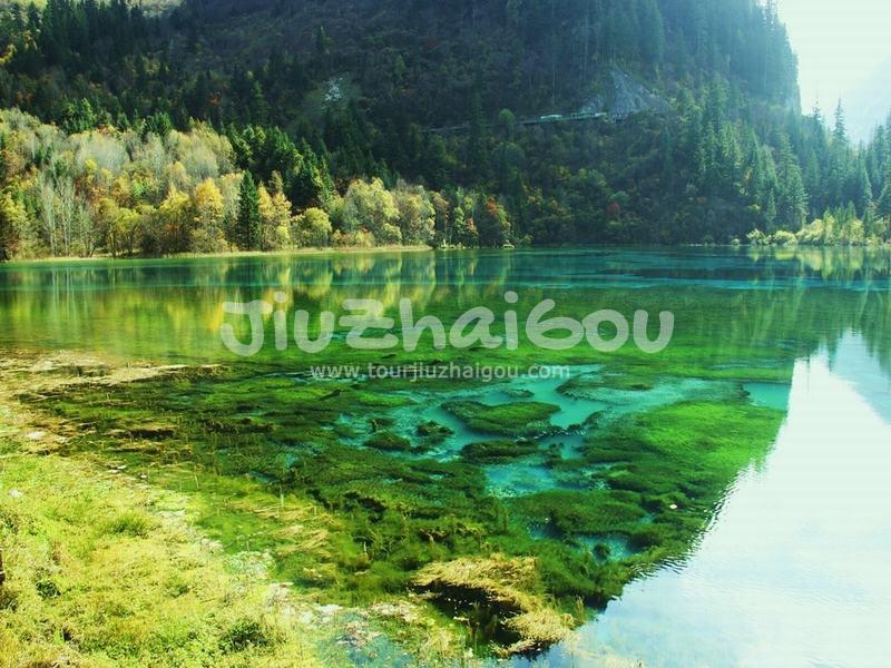 Jiuzhaigou Water