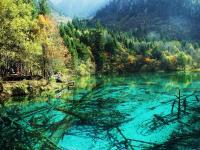 Jiuzhaigou Water