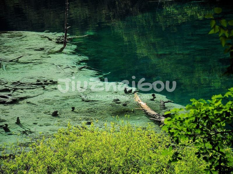 Jiuzhaigou Water