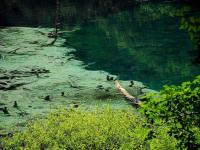 Jiuzhaigou Water