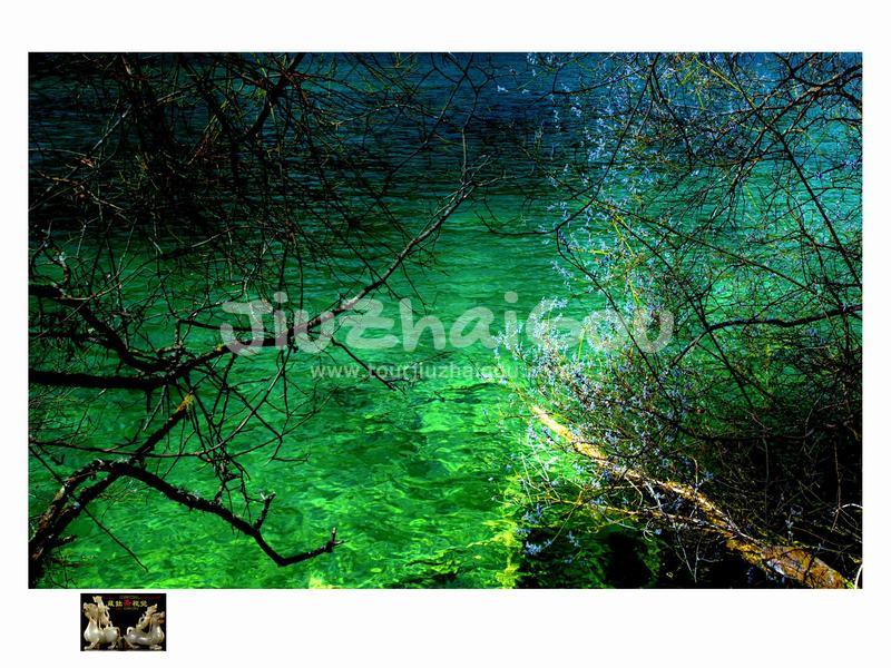 Jiuzhaigou Water